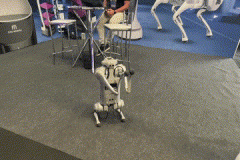 gif-1