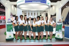 Robô Interativo da Petrobras - Salão do Automóvel de São Paulo