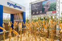 Robô Interativo da Syngenta na Showtec 2015
