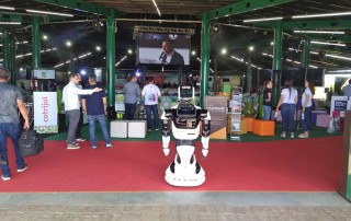 Robô Maximus Futuremedia