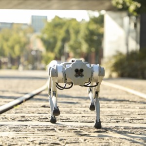 Cão Robótico Scooby demonstra agilidade ao correr pela rua