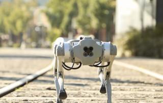 Cão Robótico Scooby demonstra agilidade ao correr pela rua