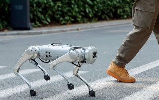 Cão Robótico Scooby atravessando a rua na faixa de pedestres ao lado de uma pessoa