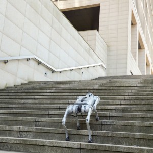 Cão Robótico Scooby subindo escadaria