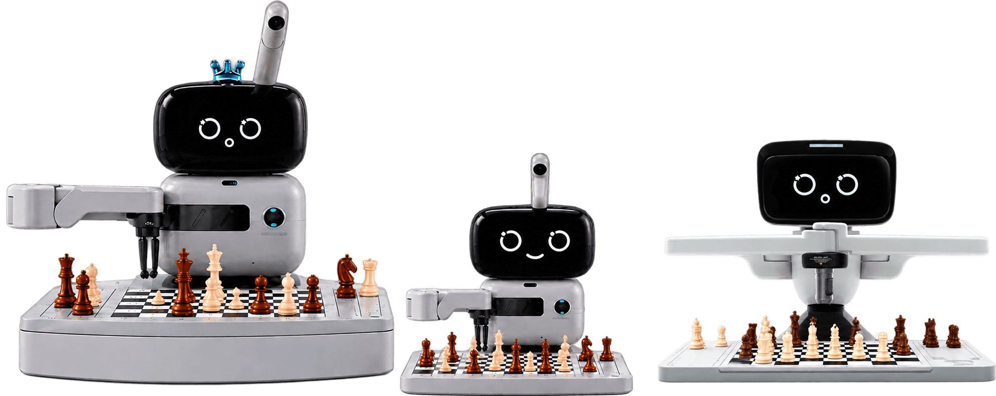 Robô Buddy